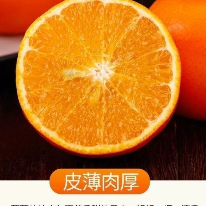 【沃柑超甜】沃柑爆甜特大果斤新鲜当季水果橘子桔子一件代发