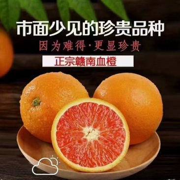 正宗赣南脐橙信丰发货
