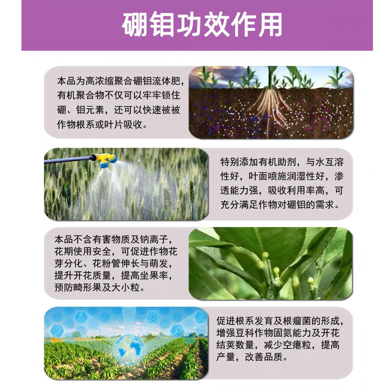 小叶康2号微量元素水溶肥硼钼同步增产增收肥料量大