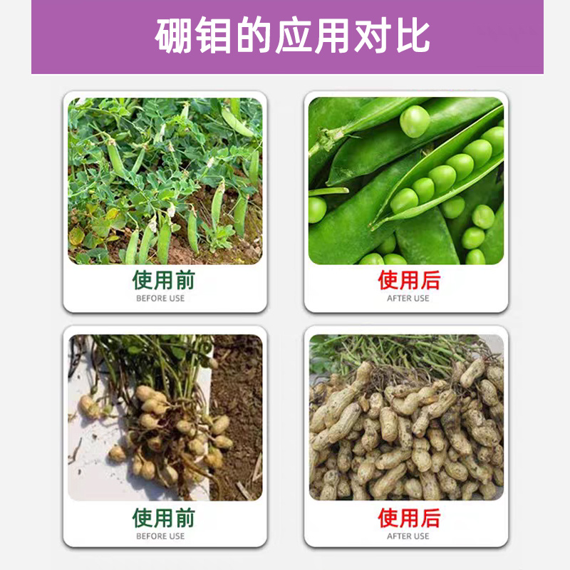 小叶康2号微量元素水溶肥硼钼同步增产增收肥料量大