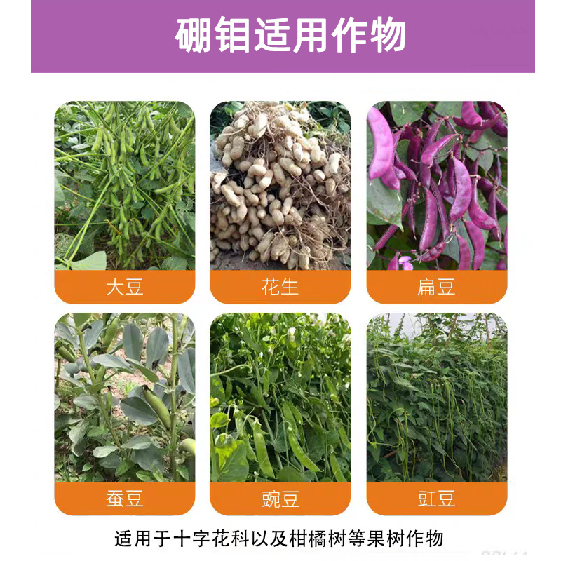 小叶康2号微量元素水溶肥硼钼同步增产增收肥料量大