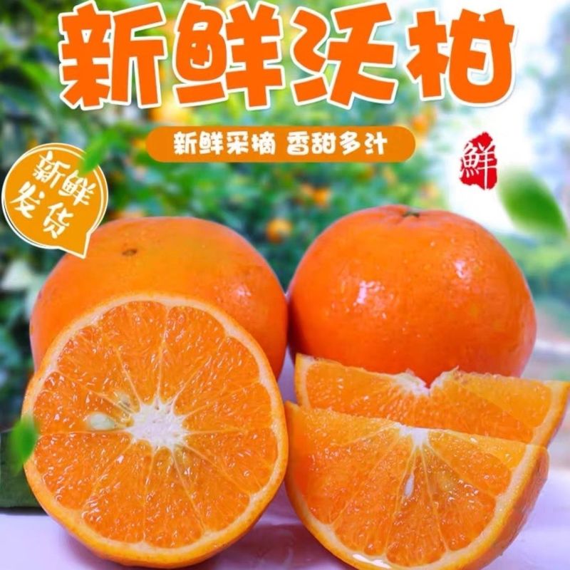 【沃柑超甜】广西武鸣沃柑爆甜特大果斤新鲜当季水果橘子桔子薄皮