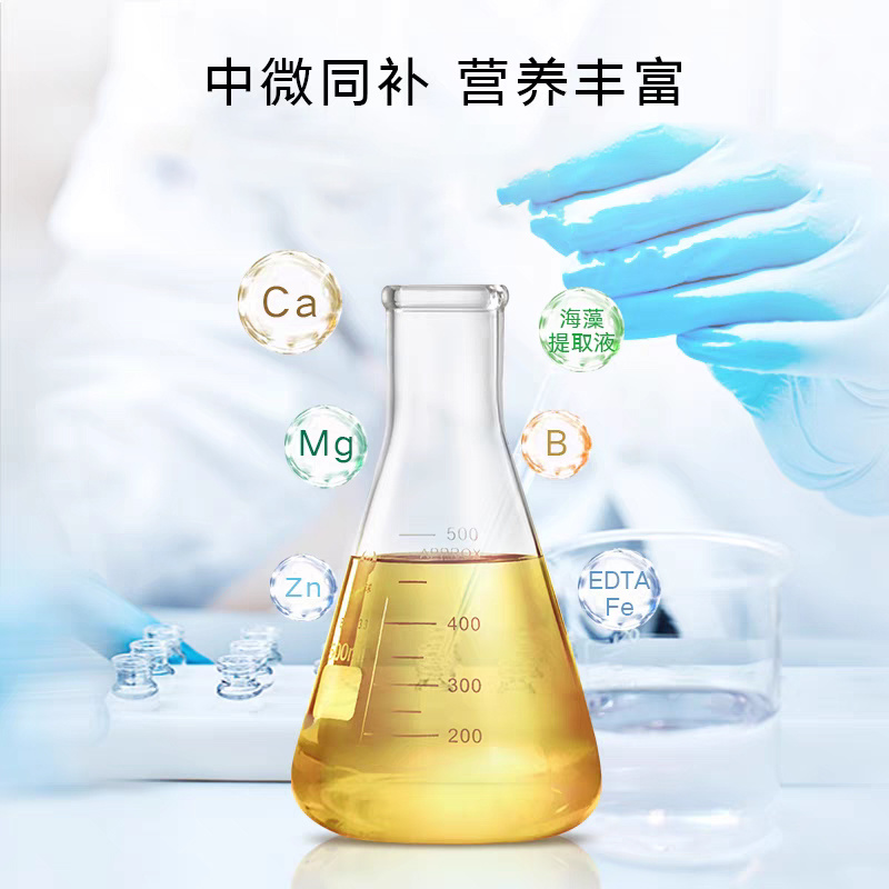 钙镁硼锌铁五素同补中量元素水溶肥料钙肥镁肥铁肥
