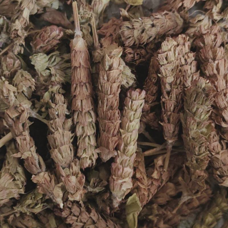 夏枯球批发各种中药材量大从优一手货源