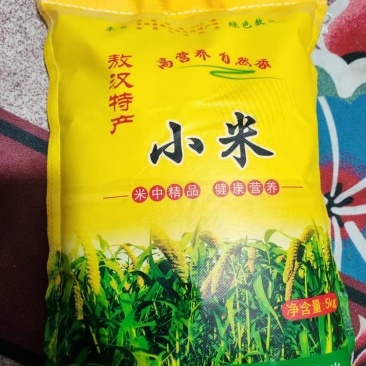 内蒙古汉山地金苗K1黄小米内蒙古赤峰市敖汉旗牛力皋纯荞