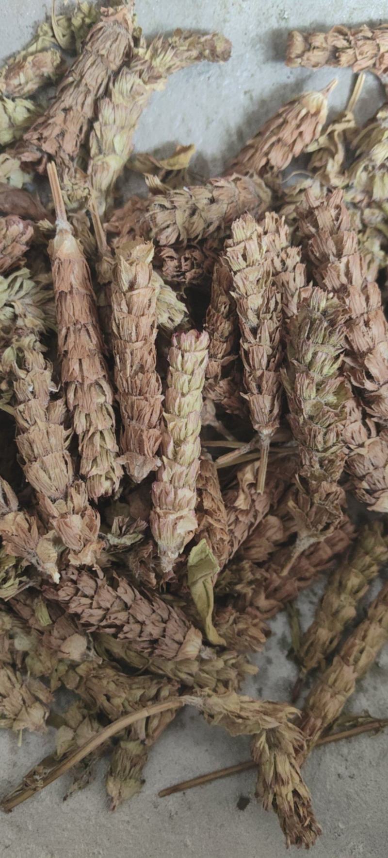 夏枯球批发各种中药材量大从优一手货源