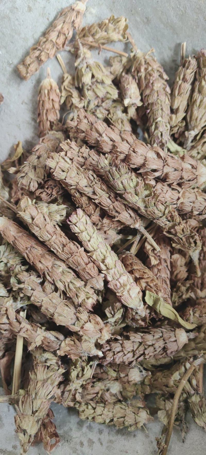 夏枯球批发各种中药材量大从优一手货源