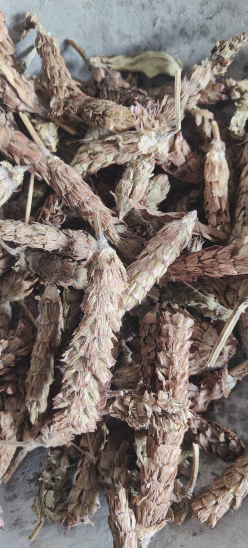 夏枯球批发各种中药材量大从优一手货源