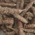 夏枯球批发各种中药材量大从优一手货源