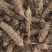 夏枯球批发各种中药材量大从优一手货源