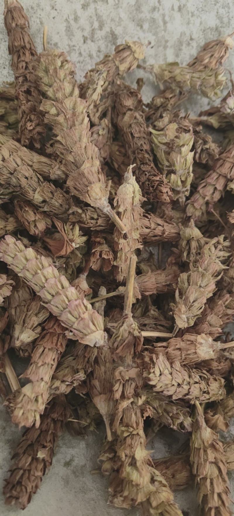夏枯球批发各种中药材量大从优一手货源