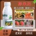 包邮膨果肥膨大肥氨基酸液体肥水溶肥冲施肥增甜上色