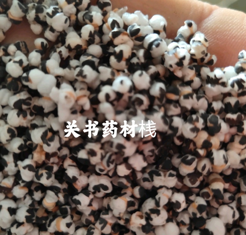 王不留行，王不留新货全开花关书药业