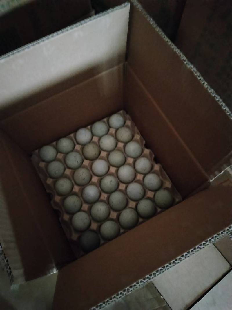 松花蛋皮蛋包装货源充足品质保证价格实惠欢迎联系