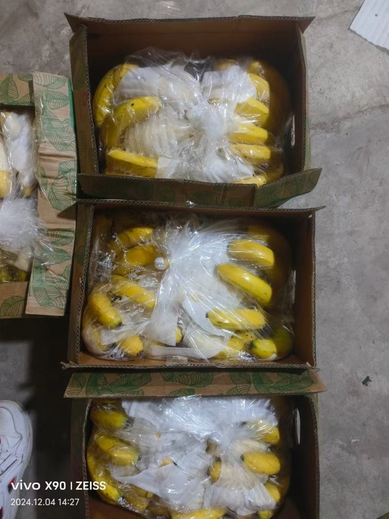 精品香蕉，生蕉，黄蕉。大量有货，需要联系