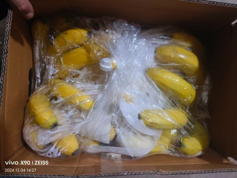 精品香蕉，生蕉，黄蕉。大量有货，需要联系