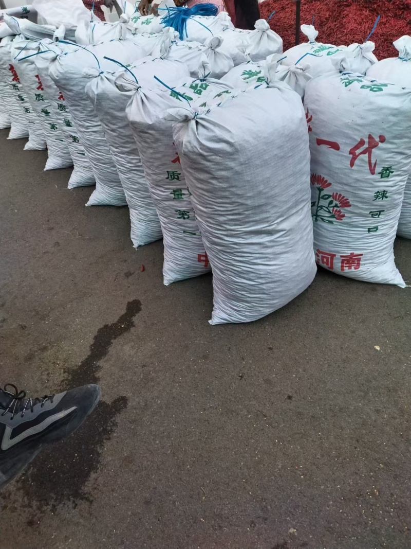 山东干辣椒三樱椒一手货源品质保证欢迎来电咨询