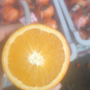 橙子