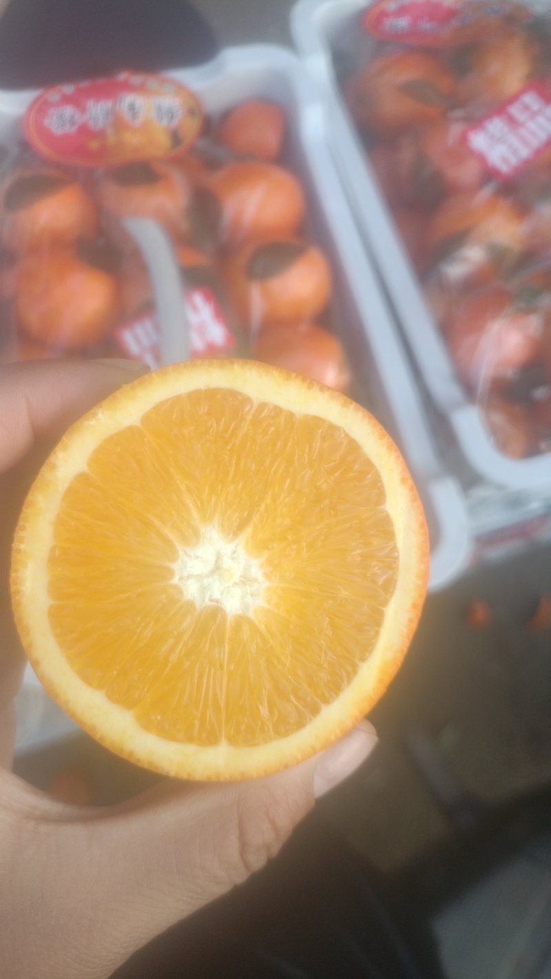 橙子