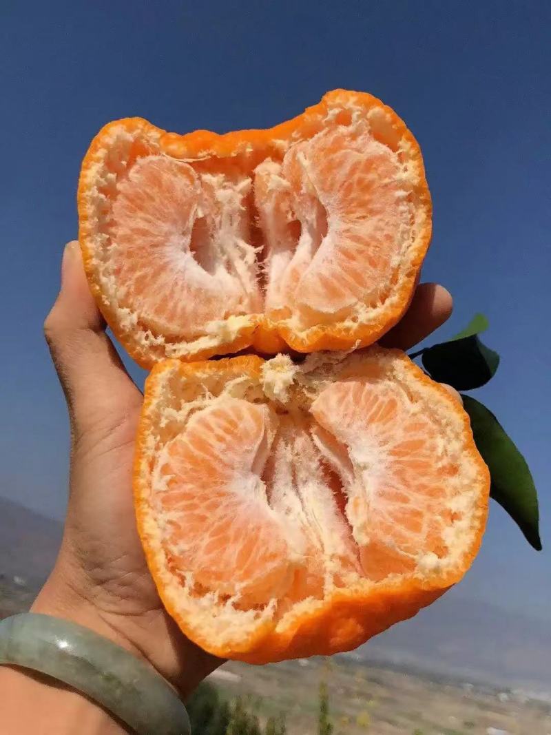 【电商果】椪柑鲜果发货供货量大按需包装协助装车