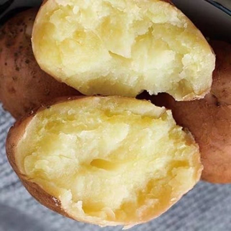 云南土豆新鲜现挖红皮黄心土豆红皮土豆种子农家自种一件代发