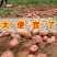 云南土豆新鲜现挖红皮黄心土豆红皮土豆种子农家自种一件代发