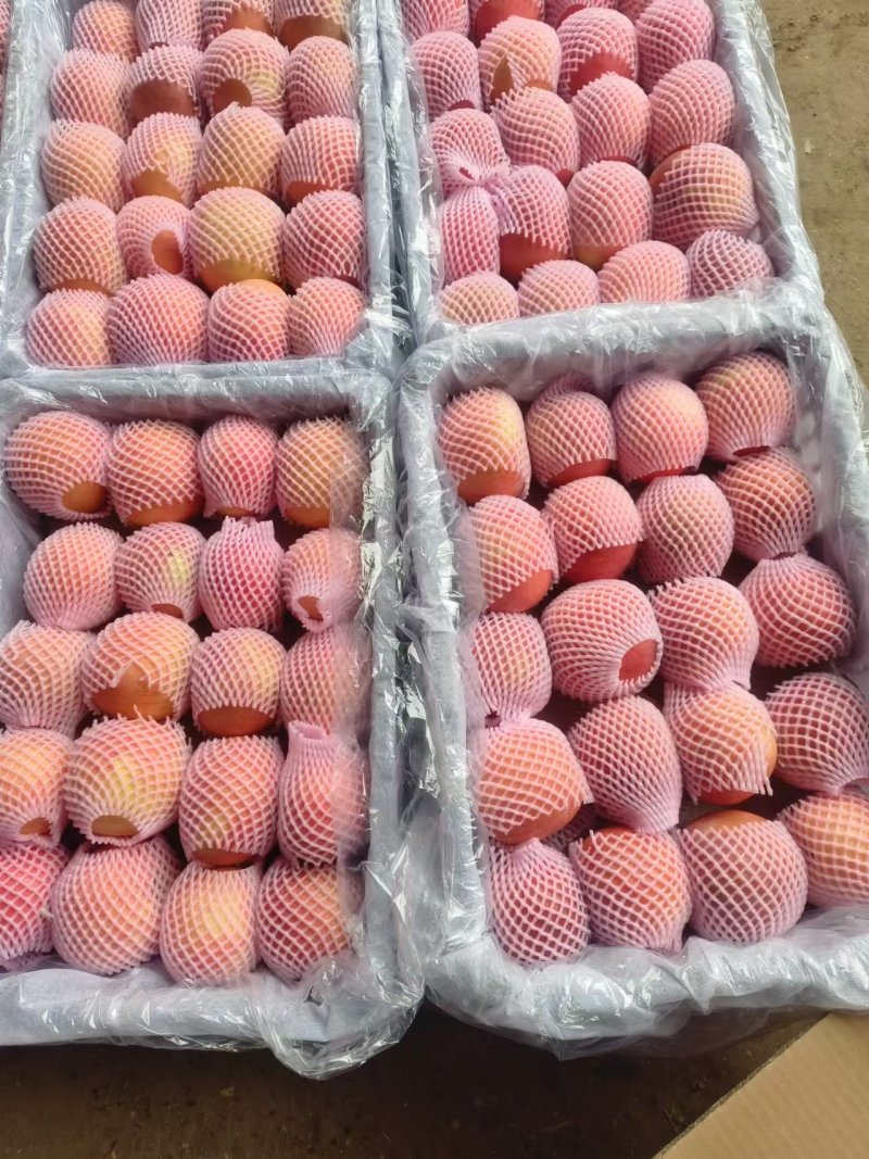光果红富士苹果，产地一手货源，品质保证，量大从优