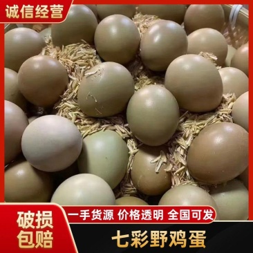 【七彩山鸡蛋】商河县鸡蛋可以按照老板要求分拣打包礼品盒