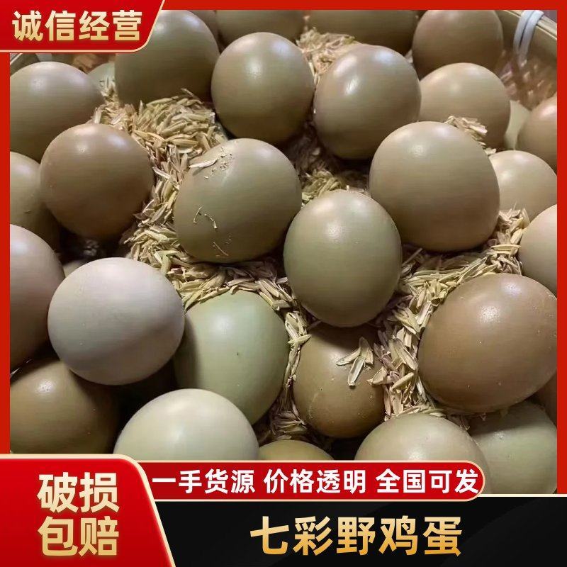 【七彩山鸡蛋】商河县鸡蛋可以按照老板要求分拣打包礼品盒