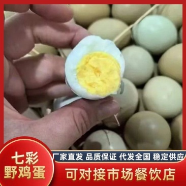 山东济南七彩山鸡蛋批发大量供应，保质保量，量大从优。