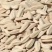 内蒙瓜子打手多味瓜子千粒270-300新货现炒货焦糖五香