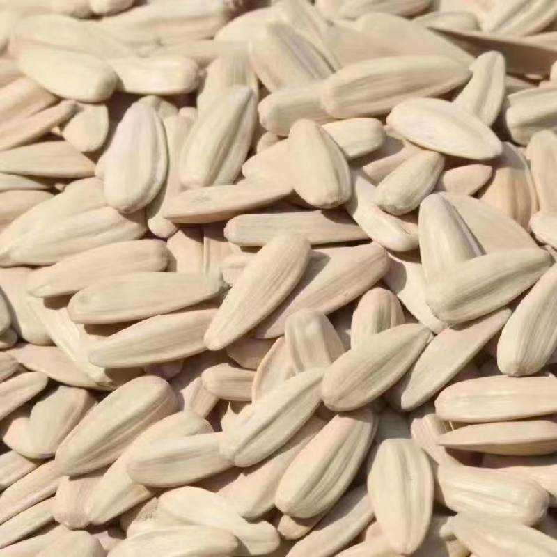 内蒙瓜子打手多味瓜子千粒270-300新货现炒货焦糖五香