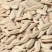 内蒙瓜子打手多味瓜子千粒270-300新货现炒货焦糖五香