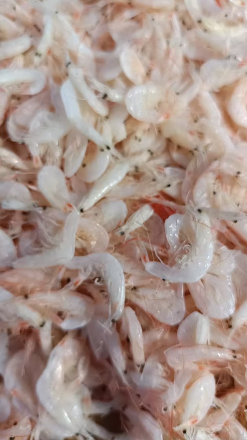 优质淡干无盐虾皮