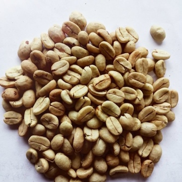 咖啡壳豆阿拉比卡豆，100吨，出米率82%，水分11%