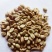 咖啡壳豆阿拉比卡豆，100吨，出米率82%，水分11%