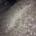 饼肥