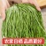 贡菜干货新鲜苔干响菜批发火锅凉拌脱水蔬菜