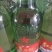 北京红星二锅头纯粮优级56度43度52度绿瓶500ml*