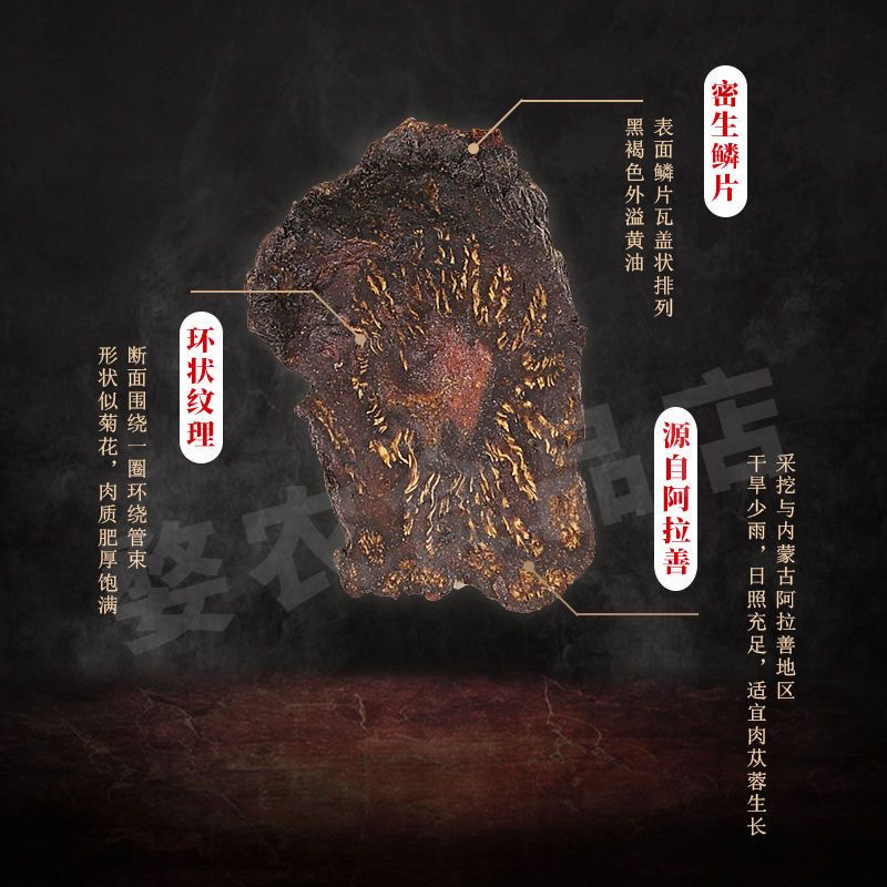 阿拉善沙漠肉苁蓉中药材泡酒料泡茶