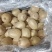 海沃德弥猴桃大量供应了，质优价廉，欢迎大家光临惠顾！