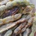 。山东新鲜大槐豆，药食种丰富营养多样化，为您打造健康生活