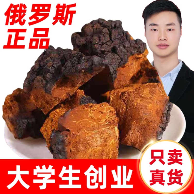 俄罗斯正品桦树茸泡茶煮水带黑皮白桦树茸块打粉