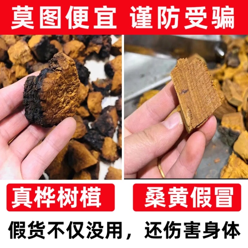 俄罗斯正品桦树茸泡茶煮水带黑皮白桦树茸块打粉