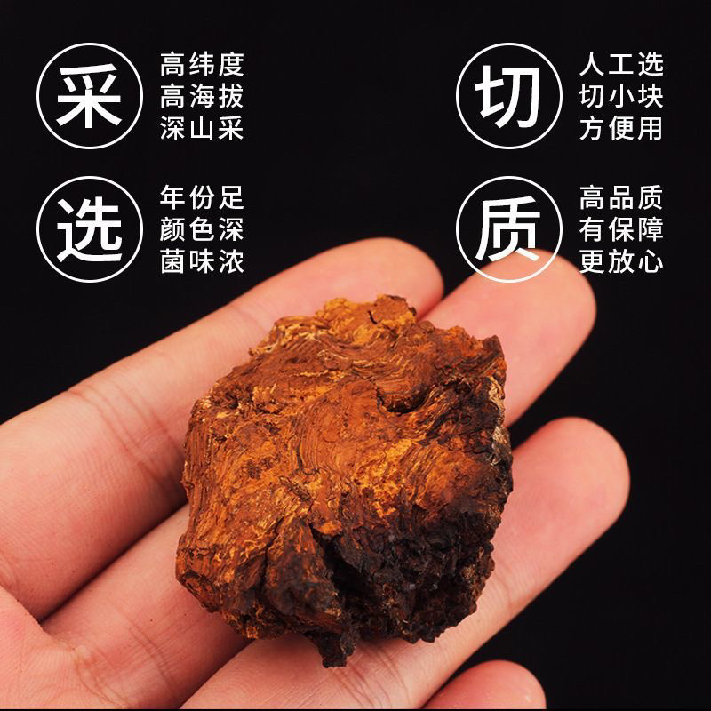 俄罗斯正品桦树茸泡茶煮水带黑皮白桦树茸块打粉