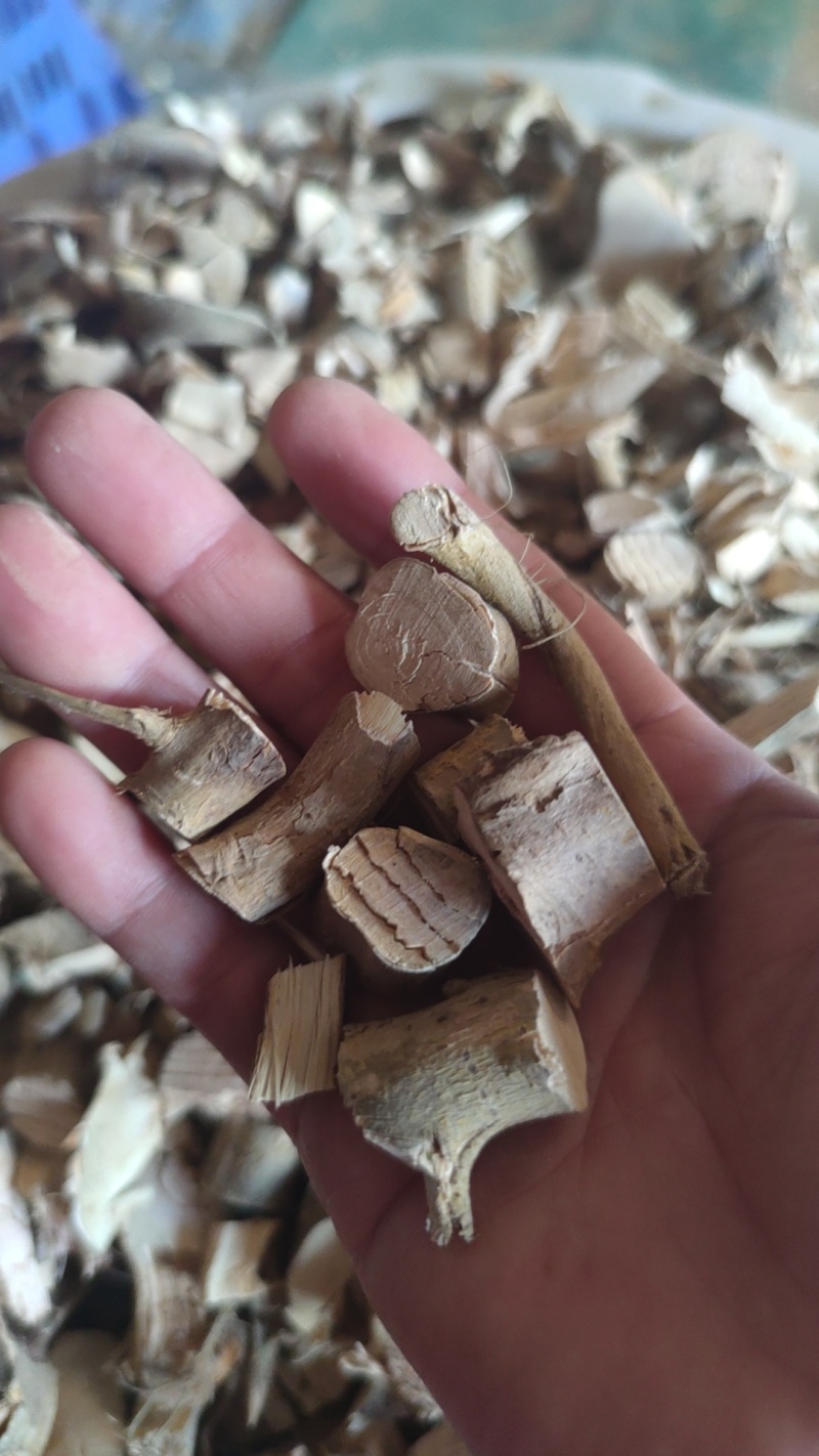 白花牛奶根