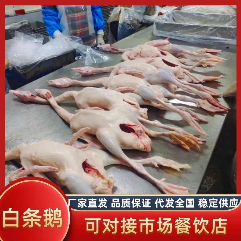 白条鹅，新鲜宰杀，源头厂家，干净无毛，只做白条鹅系列