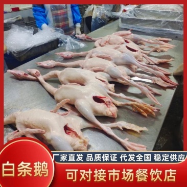 白条鹅，新鲜宰杀，源头厂家，干净无毛，只做白条鹅系列