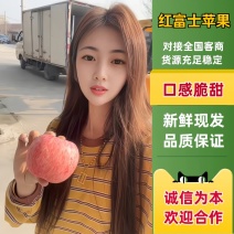 苹果大量上市，【商超】【批发市场】【电商】产地批发富士王