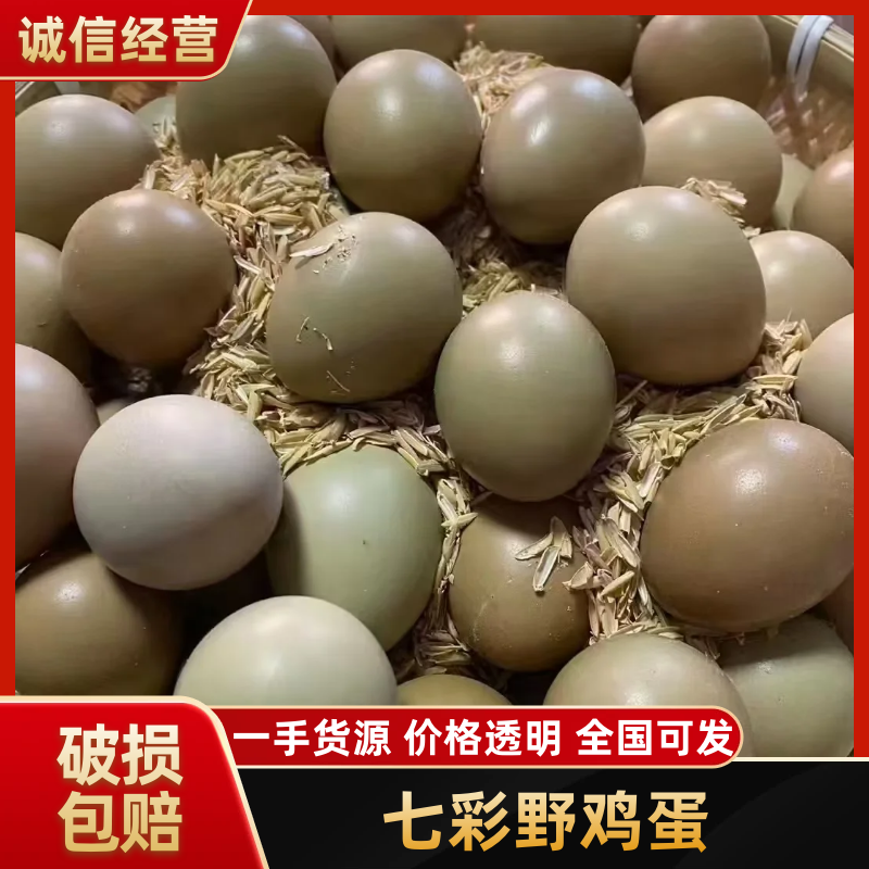 【山鸡蛋】大小规格都有干净无杂营养丰富老人儿童都能吃